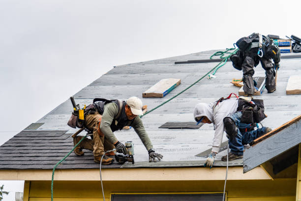 Professional Roof Repair technician working in Bryantville, MA